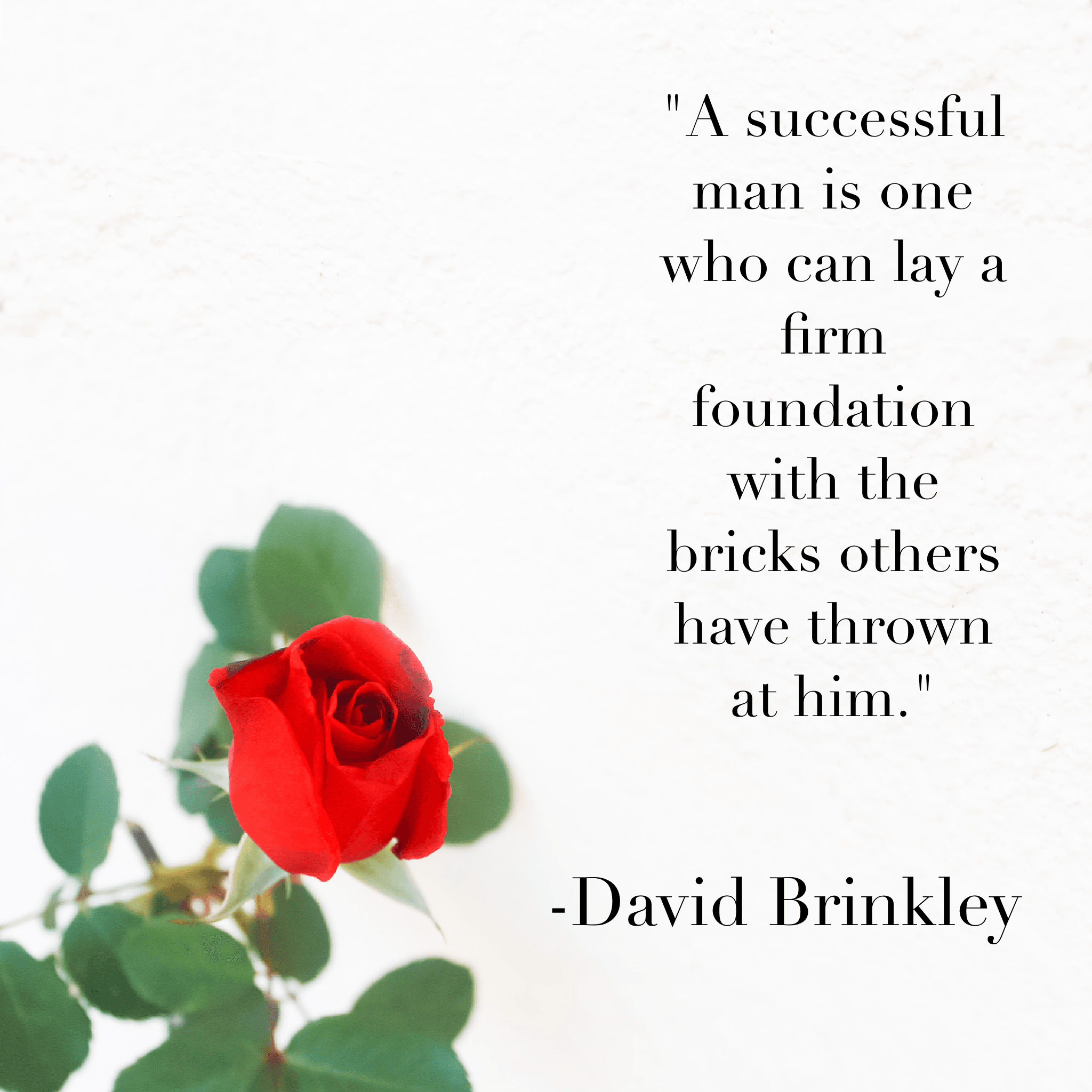 Company High/Low - 11/16/20