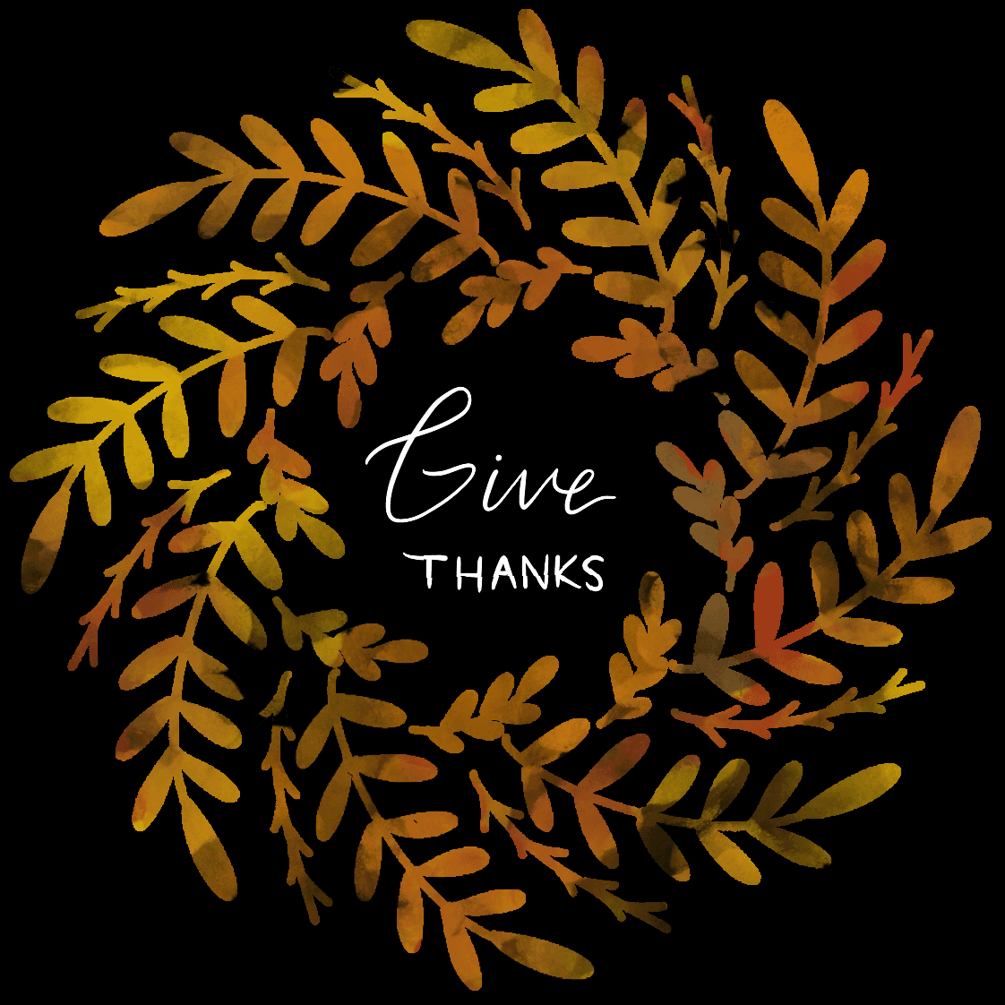 Company High/Low - 11/23/20