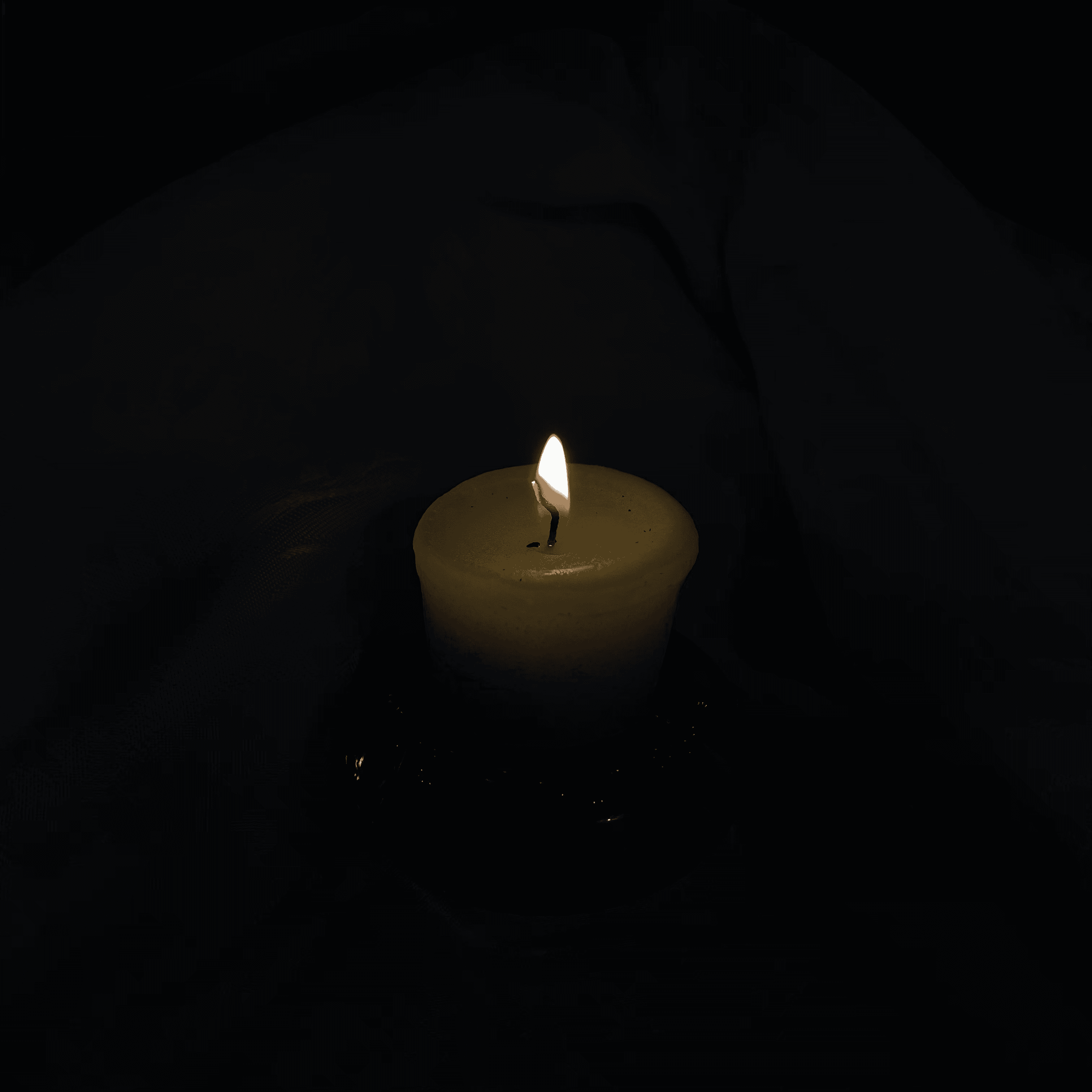 Company High/Low - 11/30/20