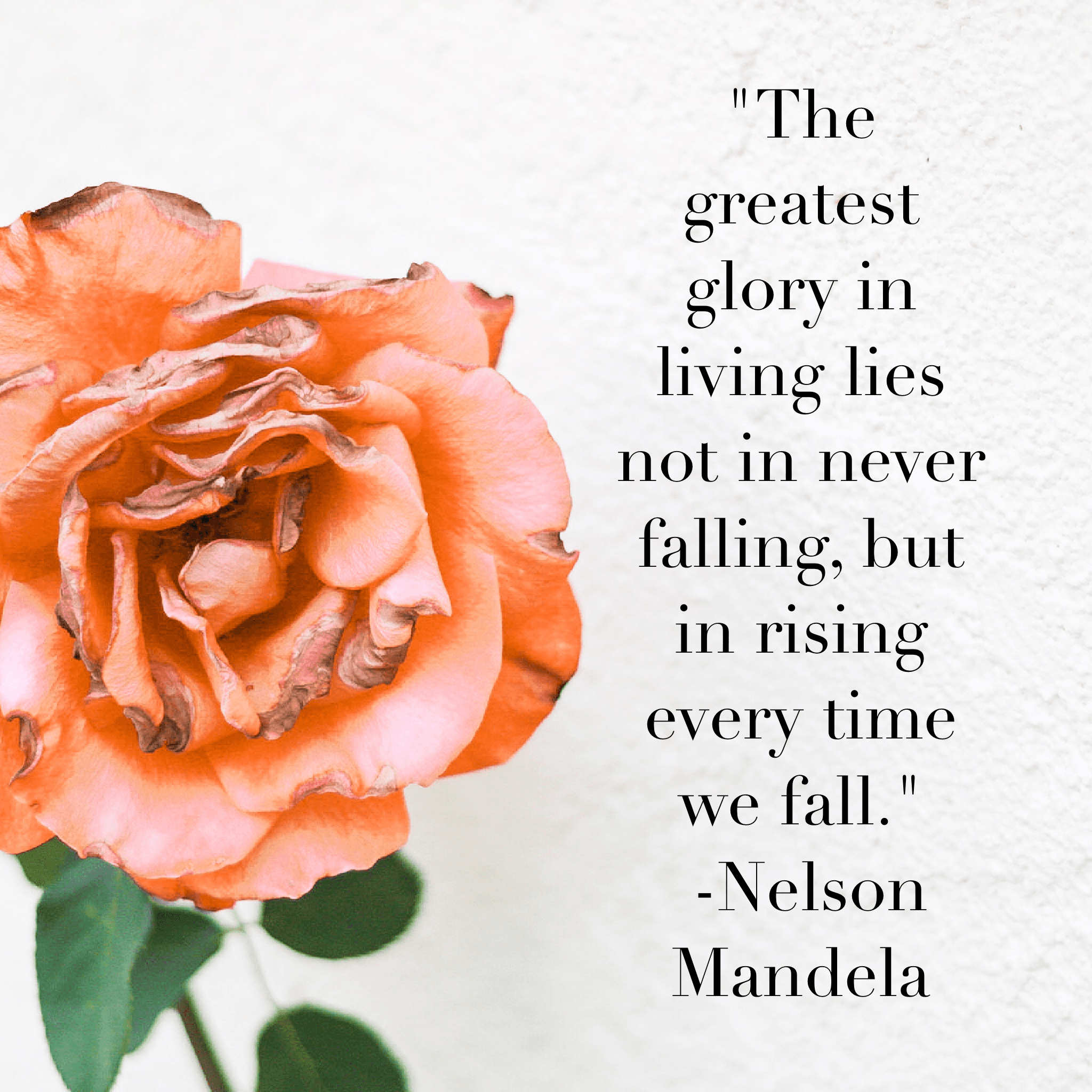 Company High/Low - 10/5/20